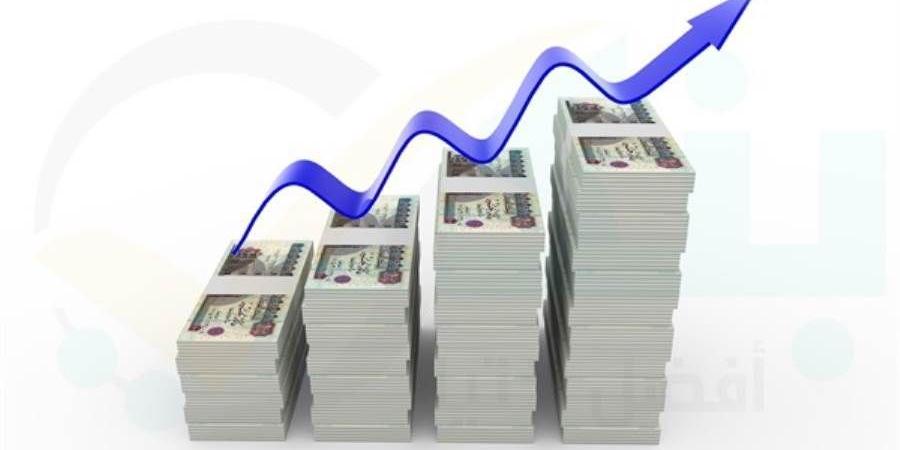 73.5% نموا بمحفظة القروض المشتركة في بنك نكست بنهاية 2024